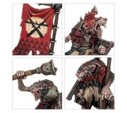 WARHAMMER AGE OF SIGMAR - Introductory Set (English)